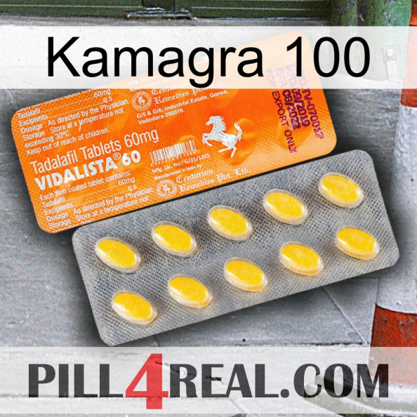 Kamagra 100 new05.jpg